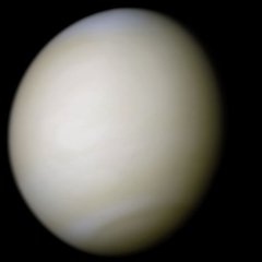 Picture of Venus