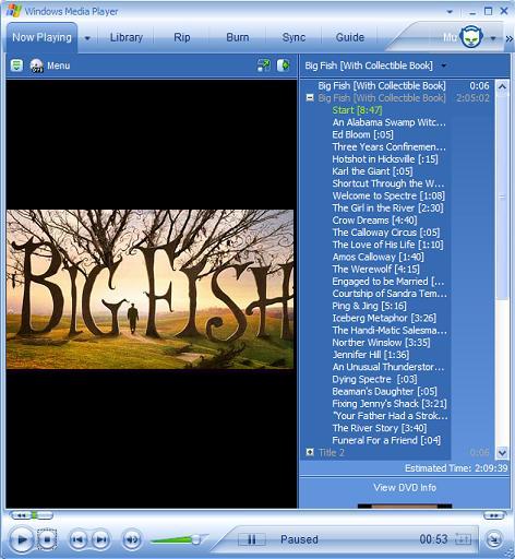 play .dvd in Windows Media Player