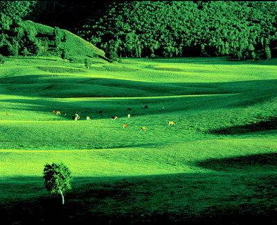 1969 - Pa Mi Er De Chun Tian (帕米尔的春天) - Spring of the Pamirs