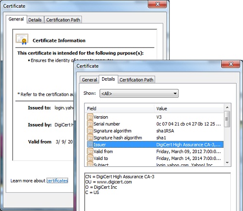 Microsoft IE - Certificate Detail View