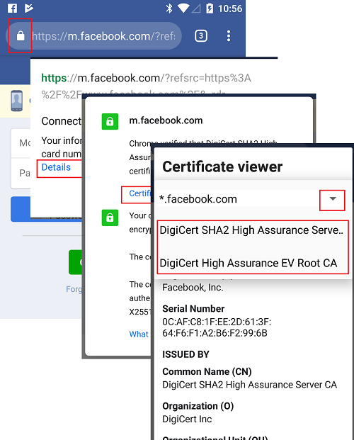 Viewing Server Certificate Path with Chrome on Android Phone