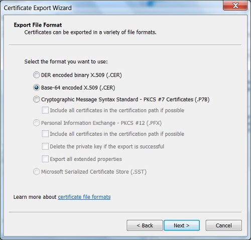 IE Export Certificate Format Options