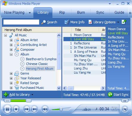 Windows Media Player Play Music Library