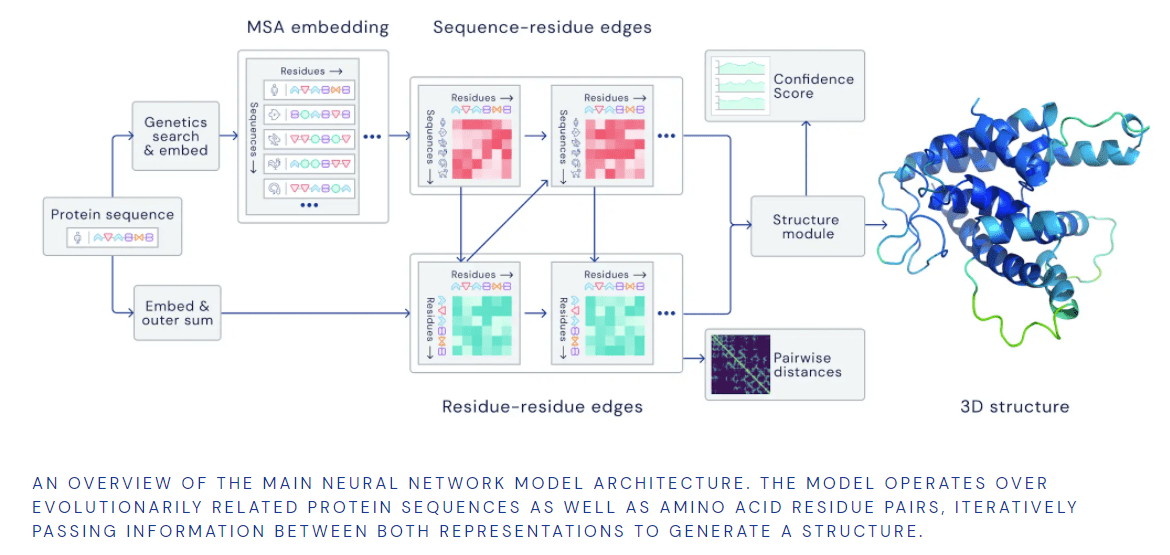 Alphafold's Neural Network Model Architecture