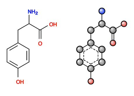 Tyrosine Molecule in Skeleton and Ball/Stick Depictions