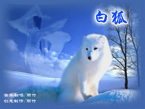 2006 - Bai Hu (白狐) - The Fox Lover