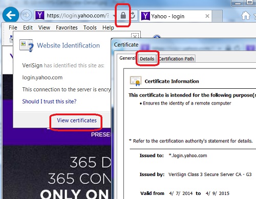 IE Certificate Detail View