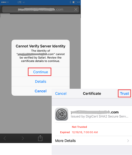 'Cannot Verify Server Identity' Error on Safari